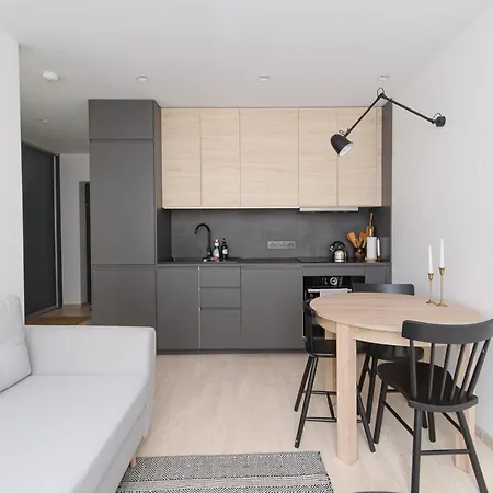 Modern Next To Ozas Park Apartment