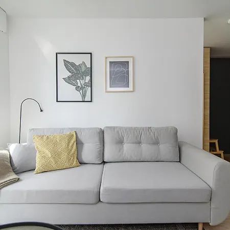 Modern Next To Ozas Park
